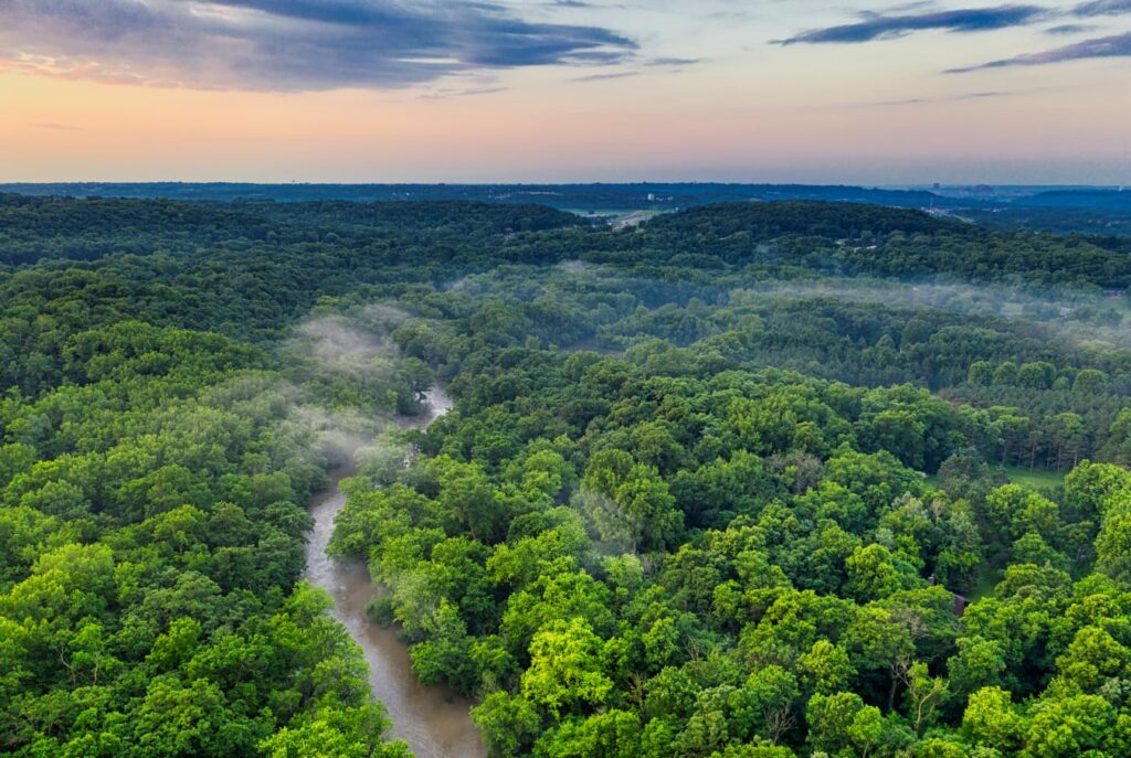 Selva del Amazonas