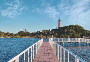 The Palm Beaches